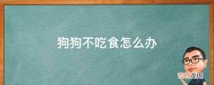 狗狗不吃食怎么办?