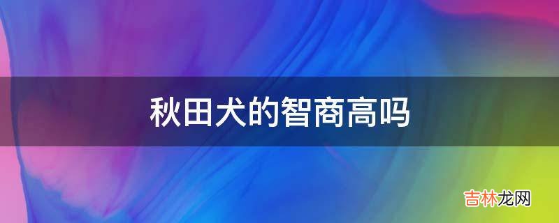 秋田犬的智商高吗?