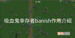 吸血鬼幸存者banish作用介绍