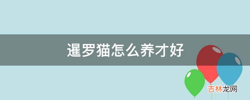 暹罗猫怎么养才好?