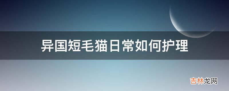 异国短毛猫日常如何护理?