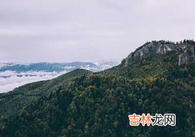 求无根攻略txt 无根攻略txt新浪