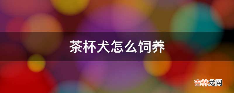 茶杯犬怎么饲养?