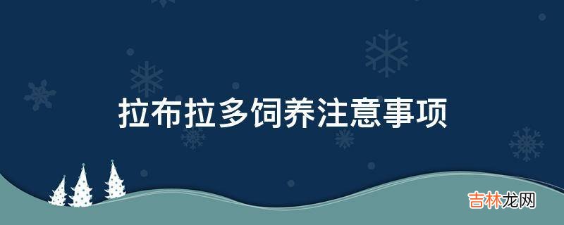 拉布拉多饲养注意事项?