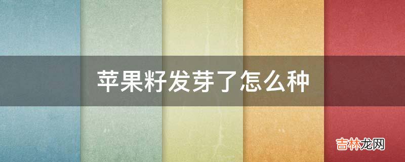 苹果籽发芽了怎么种?