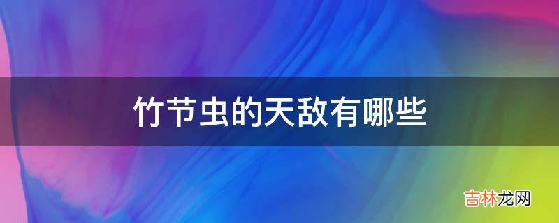 竹节虫的天敌有哪些?