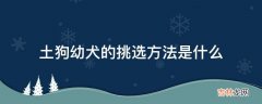 土狗幼犬的挑选方法是什么?