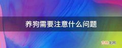 养狗需要注意什么问题?