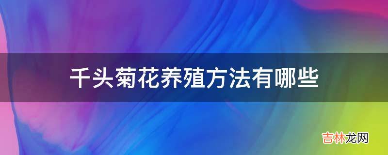 千头菊花养殖方法有哪些?