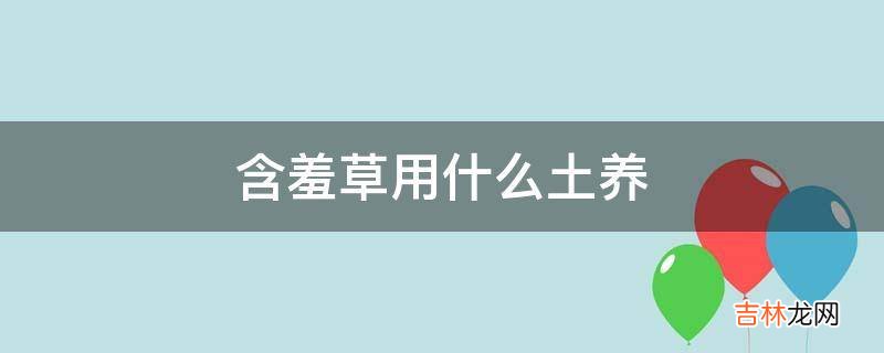 含羞草用什么土养?