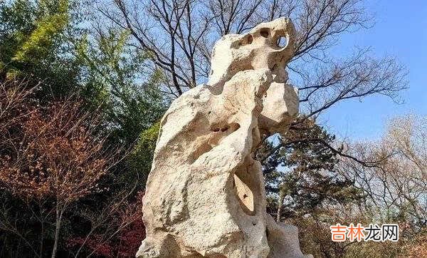 荣耀v40评测_荣耀v40手机怎么样