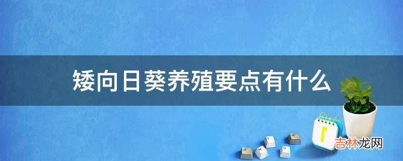 矮向日葵养殖要点有什么?