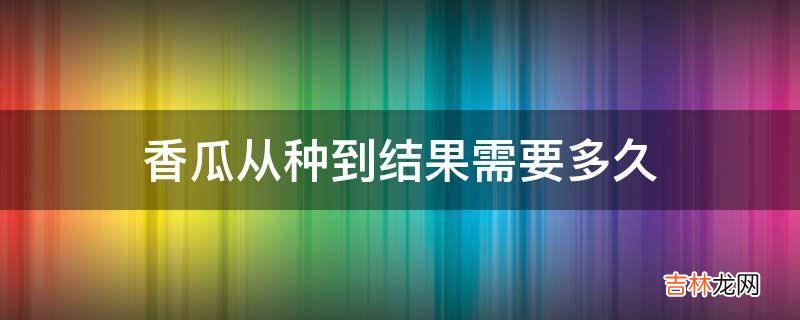 香瓜从种到结果需要多久?