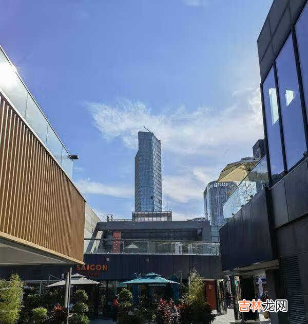 小米11和华为mate40pro哪个拍照好?手机拍照对比