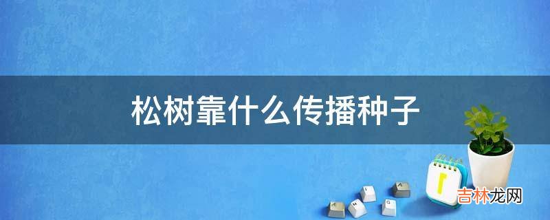 松树靠什么传播种子?