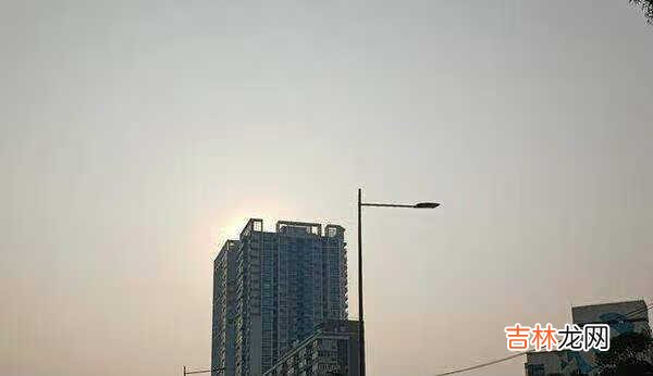 华为nova8pro对比荣耀v40哪个好_华为nova8pro和荣耀v40哪个好