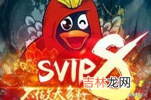 qq会员怎么退订（qqsvip怎么退款)