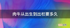 肉牛从出生到出栏要多久?