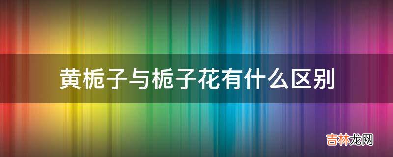 黄栀子与栀子花有什么区别?