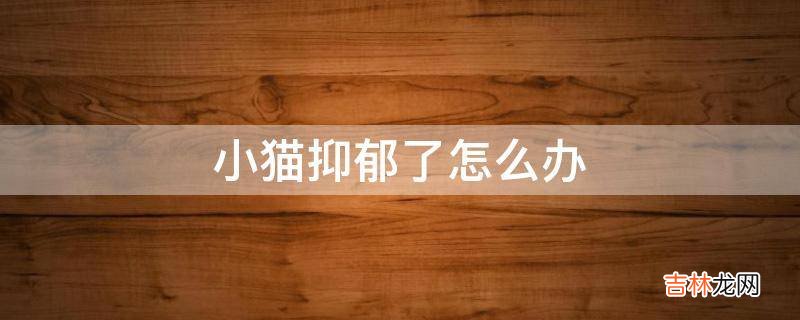 小猫抑郁了怎么办?