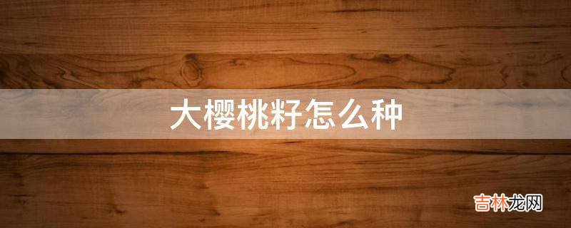 大樱桃籽怎么种?
