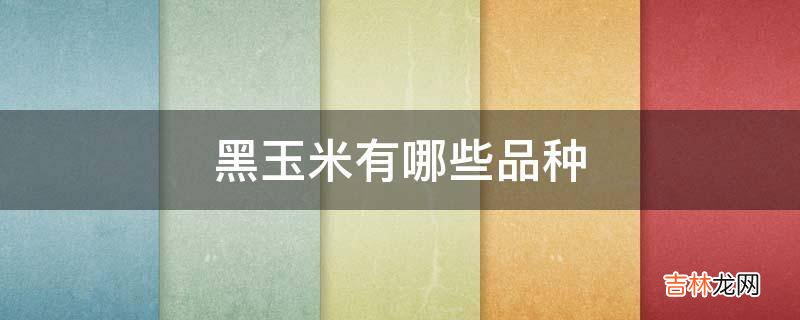 黑玉米有哪些品种?
