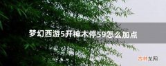 梦幻西游5开神木停59怎么加点（梦幻西游5开固伤阵容推荐)