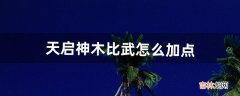 天启神木比武怎么加点（100版本天启者加点)