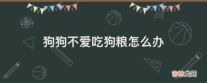 狗狗不爱吃狗粮怎么办?