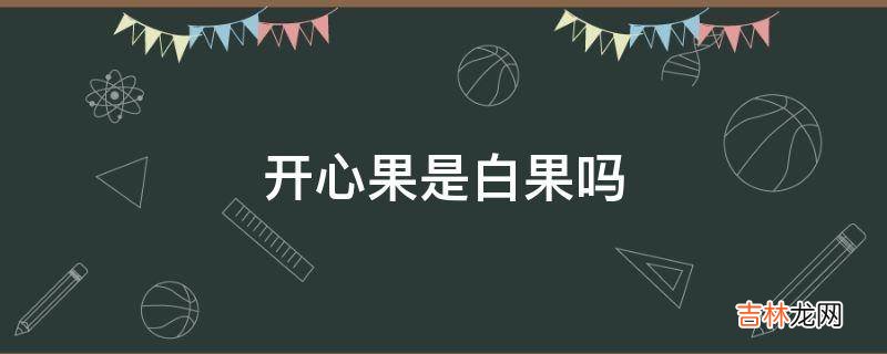 开心果是白果吗?