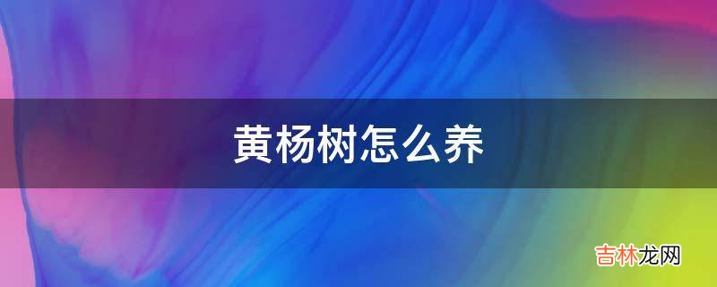 黄杨树怎么养?