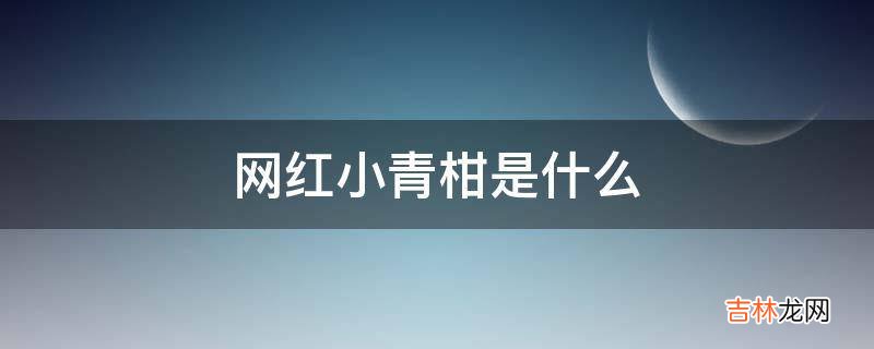 网红小青柑是什么?