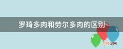 罗琦多肉和劳尔多肉的区别?