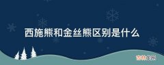 西施熊和金丝熊区别是什么?