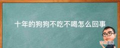 十年的狗狗不吃不喝怎么回事?