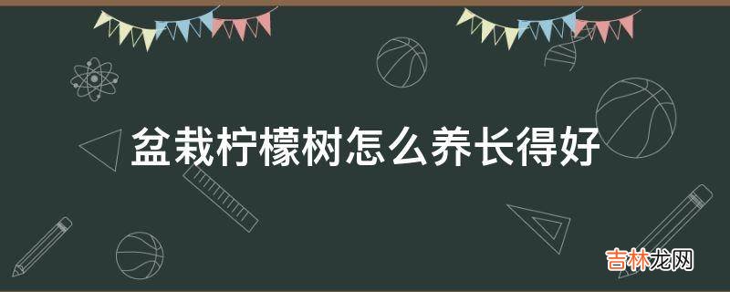 盆栽柠檬树怎么养长得好?