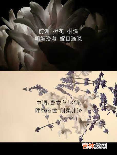 圣罗兰自由之水留香时间长吗_圣罗兰自由之水留香多久