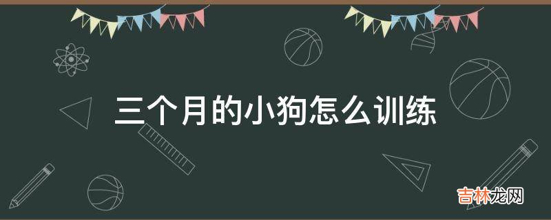 三个月的小狗怎么训练?