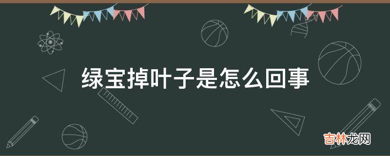 绿宝掉叶子是怎么回事?