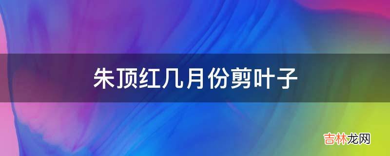 朱顶红几月份剪叶子?