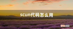 scun代码怎么用（scum技能满级代码)