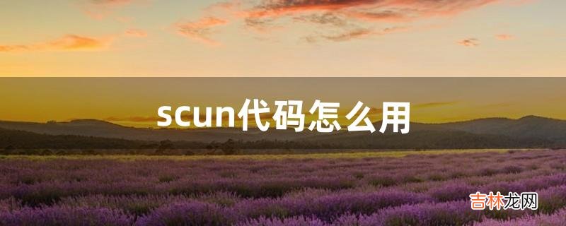 scun代码怎么用（scum技能满级代码)