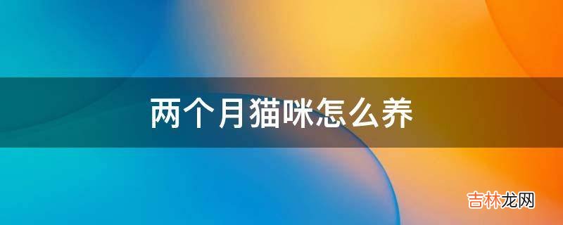 两个月猫咪怎么养?