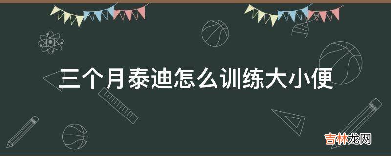 三个月泰迪怎么训练大小便?