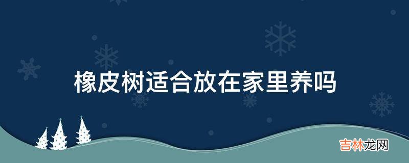 橡皮树适合放在家里养吗?
