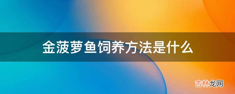 金菠萝鱼饲养方法是什么?