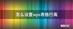 怎么设置wps表格行高?