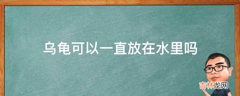 乌龟可以一直放在水里吗?