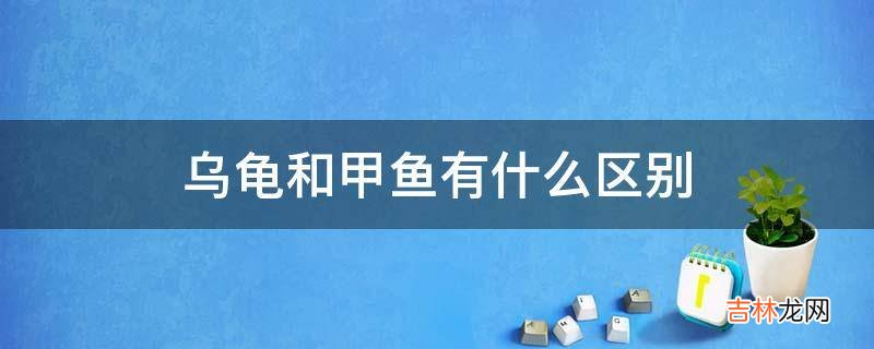 乌龟和甲鱼有什么区别?