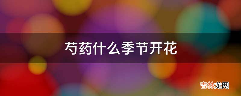 芍药什么季节开花?